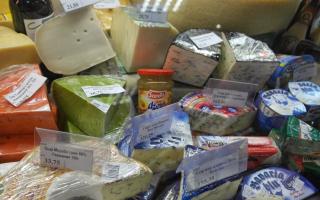 Сыр с плесенью: польза и вред, особенности выбора и употребления
